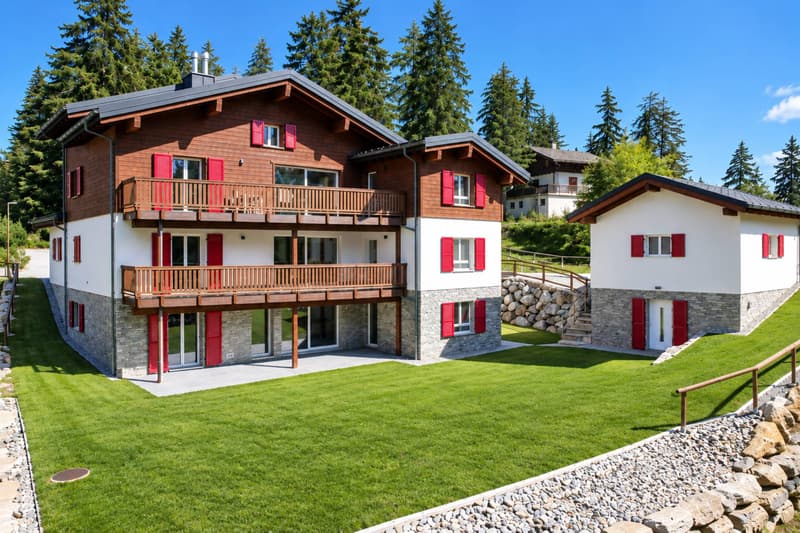 CHALET DE 15,5 PIÈCES COMPOSÉ DE TROIS APPARTEMENTS INDÉPENDANTS (1)