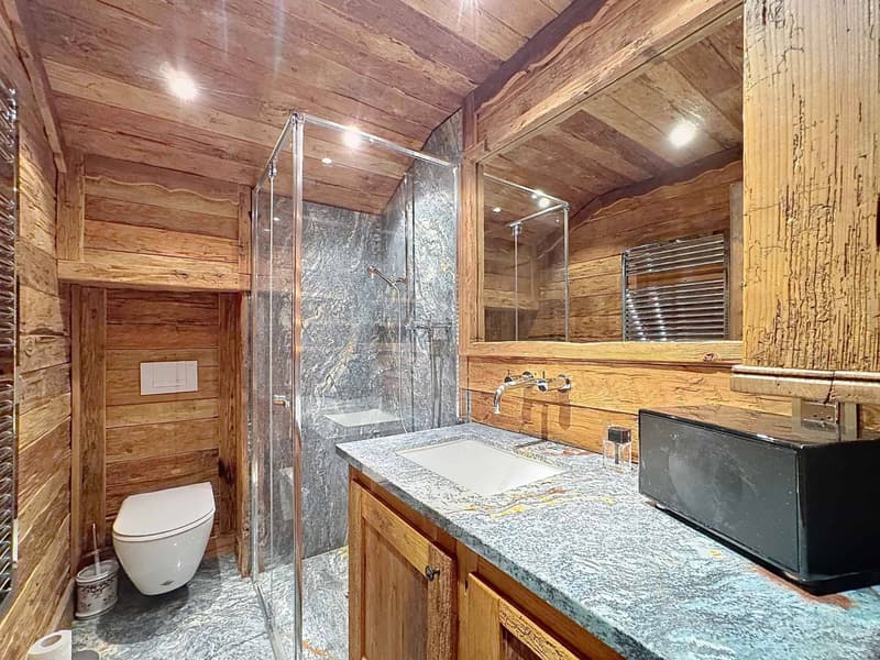 Splendide chalet avec son mazot sur une magnifique parcelle (8)