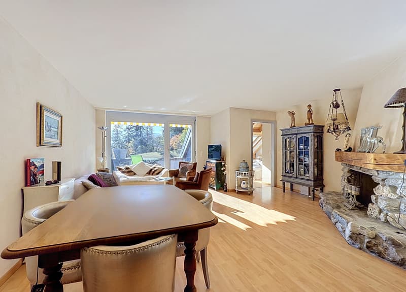 Très bel appartement de 4.5 pièces en plein centre avec magnifique rooftop (2)