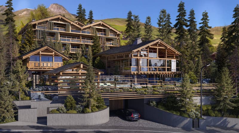 A unique opportunity to create your dream chalet - Secondary residence (4)