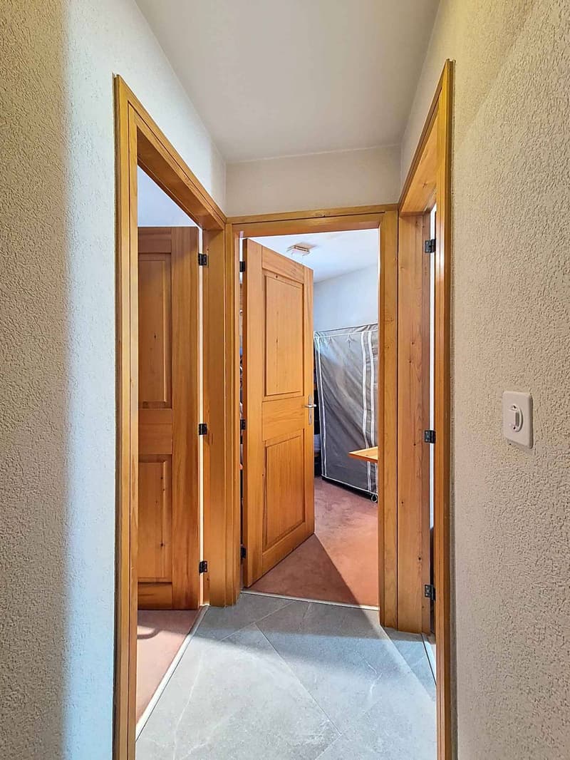 Bello appartamento di 3 camere, 100 m2 - Centrale e tranquilla (8)