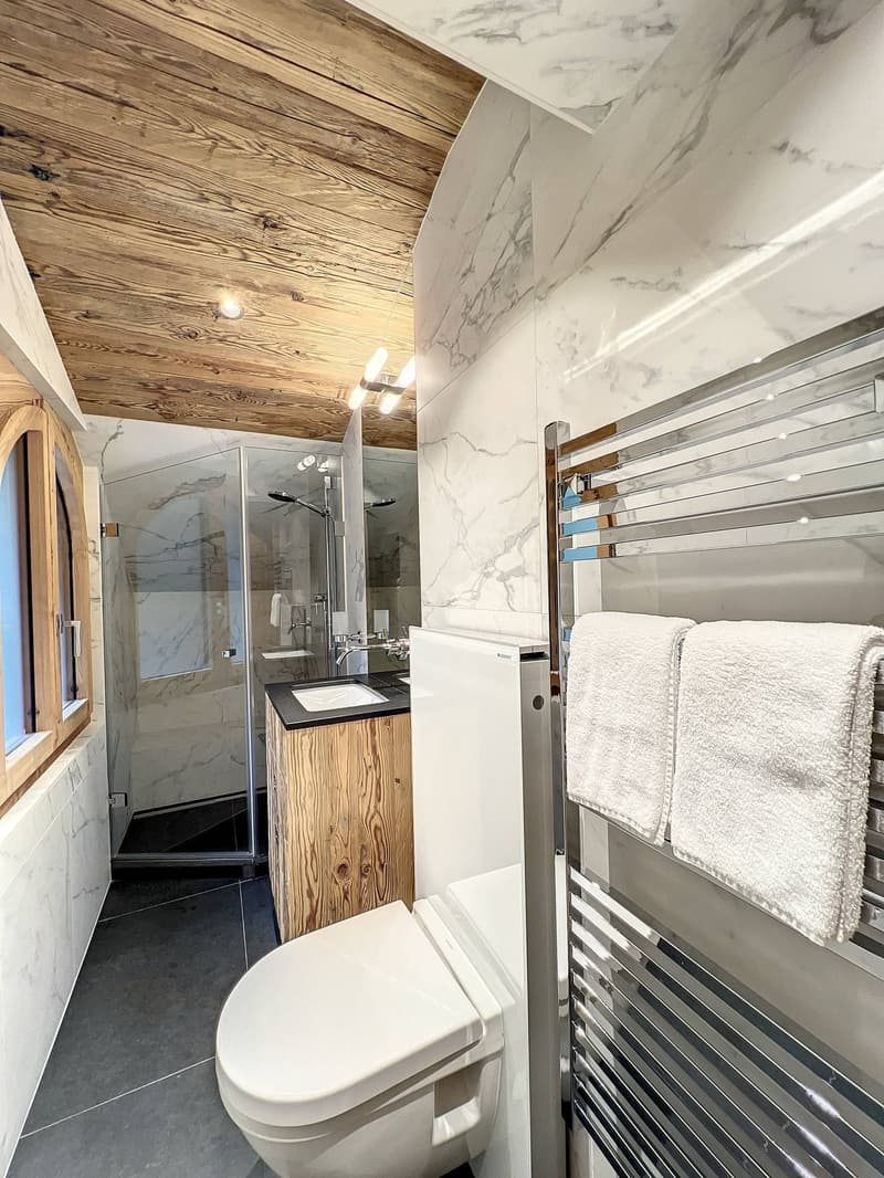 Superbe studio ski-in/ski-out entièrement rénové ! (6)