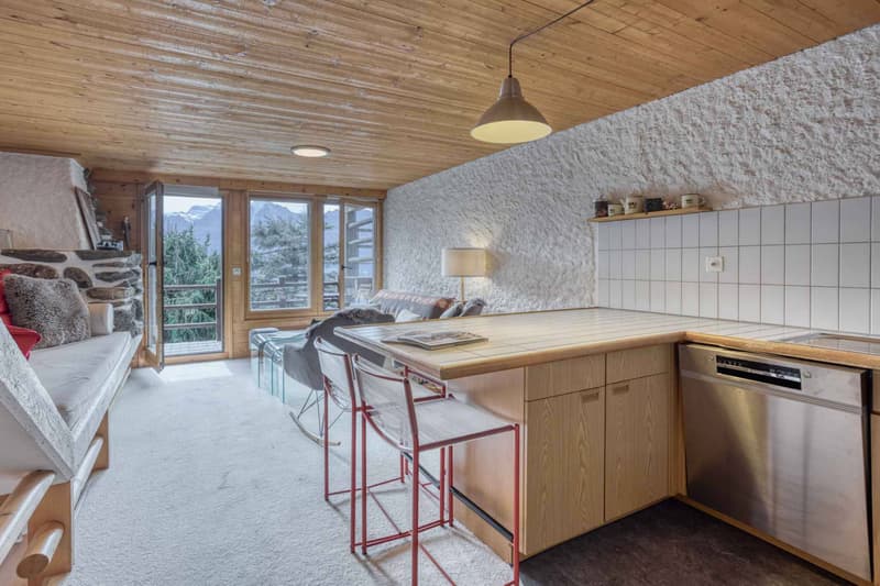 Joli duplex de 67 M2 avec jardin et vue panoramique Verbier (Nifortsié) (4)