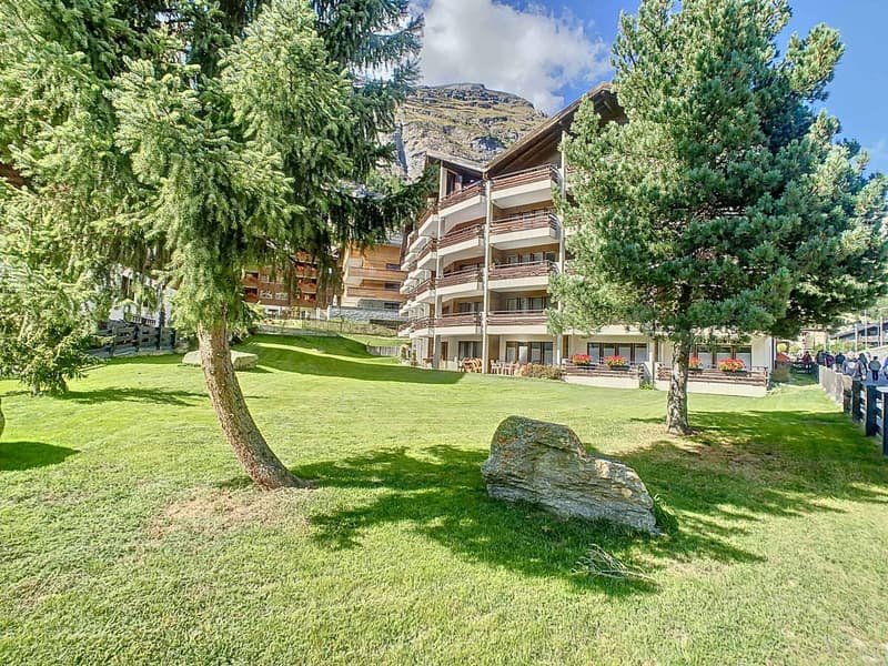 Fantastico appartamento di 3,5 locali con vista Cervino (12)