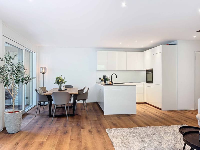 Appartement lumineux de 4,5 pièces (1)