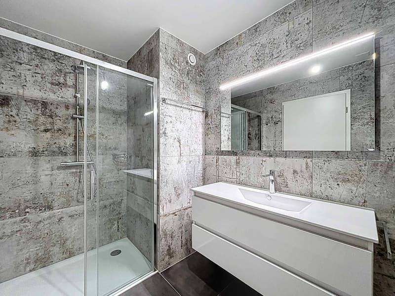 Exceptional 3.5-room attic (7)