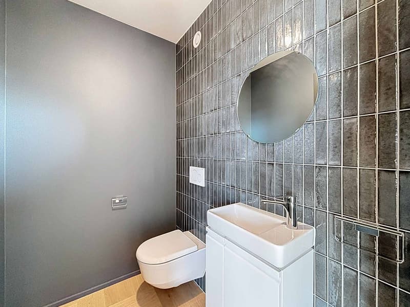 Exceptional 3.5-room attic (8)