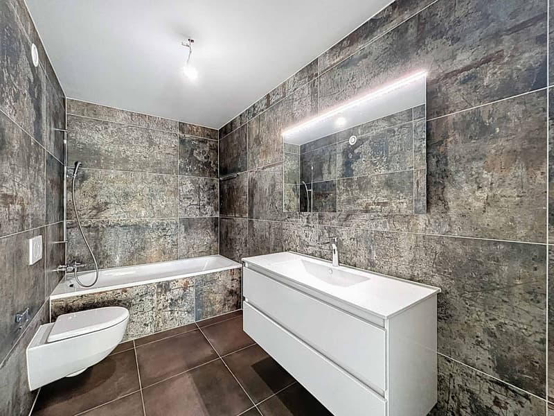 Exceptional 3.5-room attic (10)