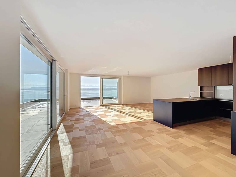 Exceptional 3.5-room attic (3)