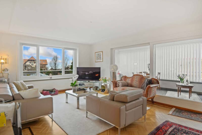 Charming 8.5-room property with terrace and large garden (5)