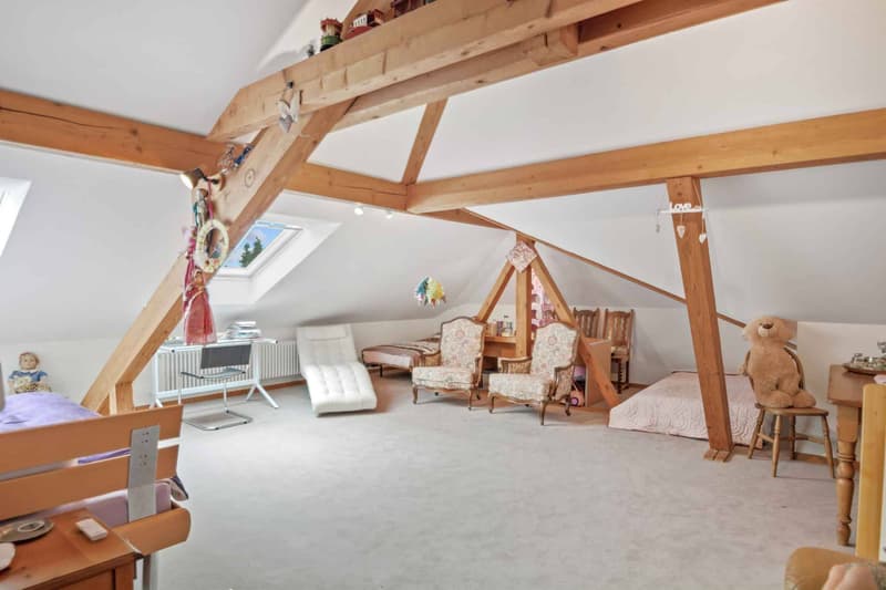 Charming 8.5-room property with terrace and large garden (10)
