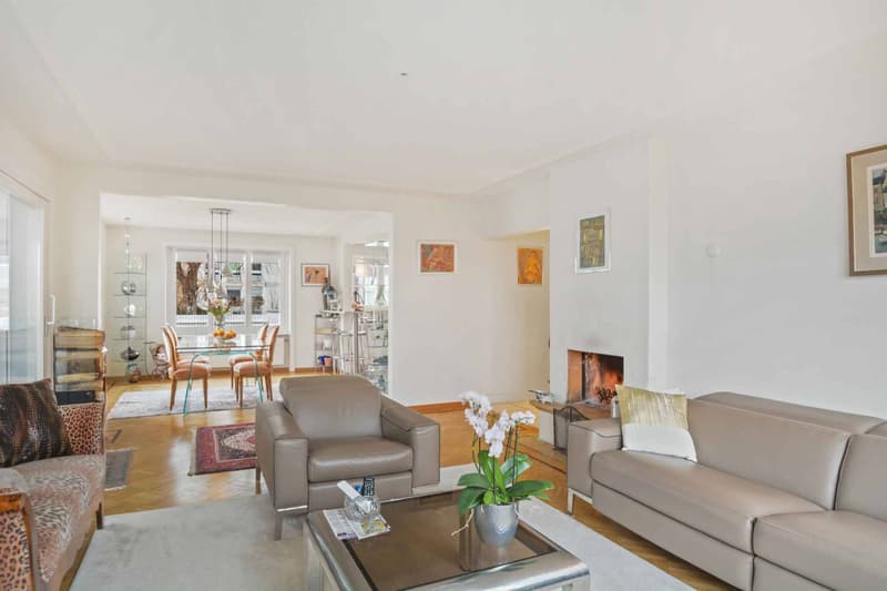 Charming 8.5-room property with terrace and large garden (4)