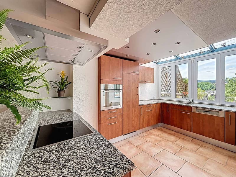 Three and a half room triplex with terraces and independent studio (5)
