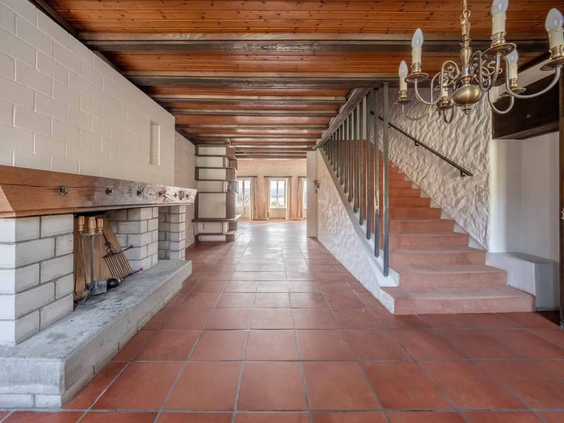 A character home by Lake Morat (3)