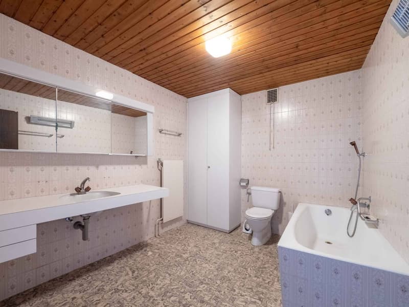 A character home by Lake Morat (7)