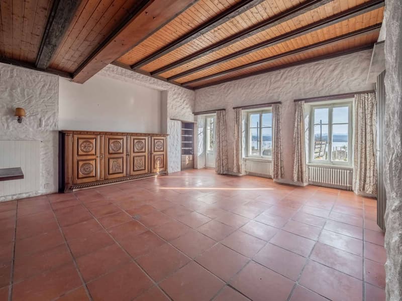A character home by Lake Morat (4)