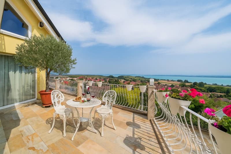 Villa familiare con panorama unico sul lago di Neuchâtel e le Alpi (10)