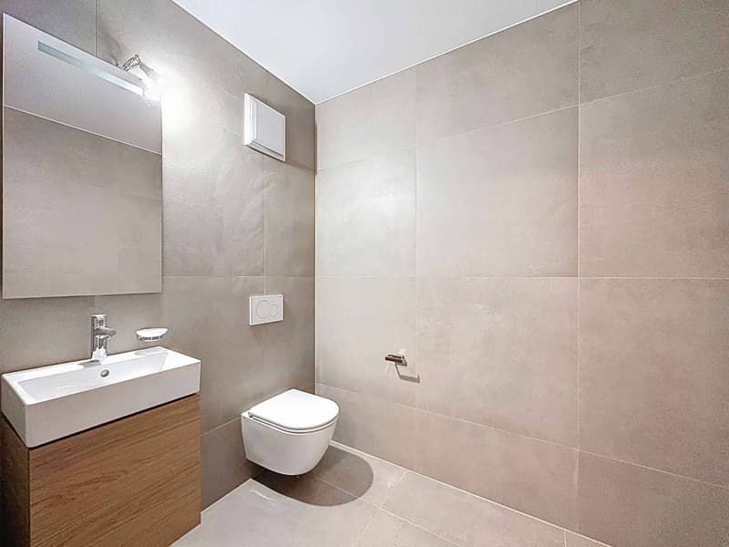 New duplex in the heart of Neuchâtel (6)