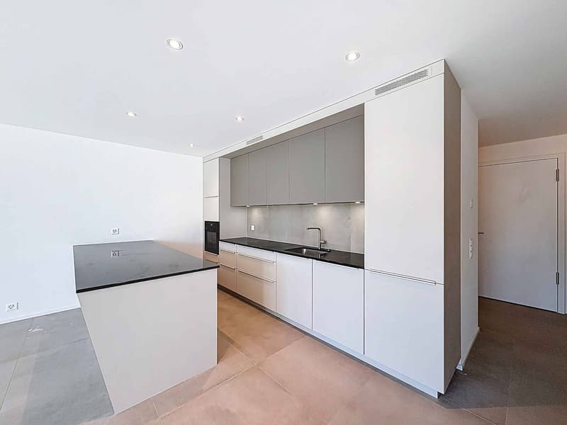 New duplex in the heart of Neuchâtel (2)