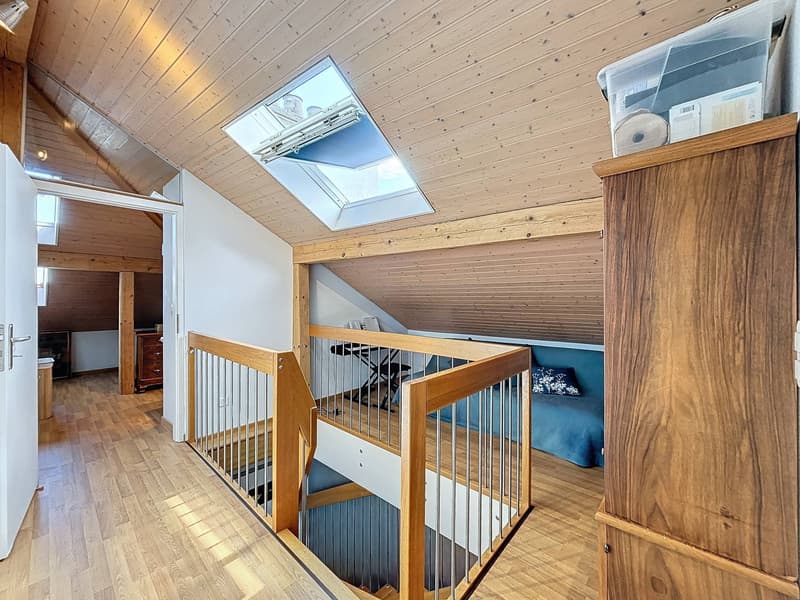 Duplex with panoramic view of the lake and the Alps (9)