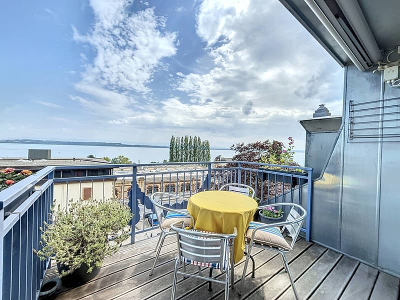 Duplex with panoramic view of the lake and the Alps (2)