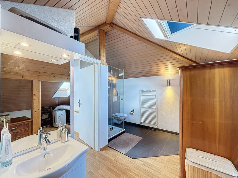 Duplex with panoramic view of the lake and the Alps (12)