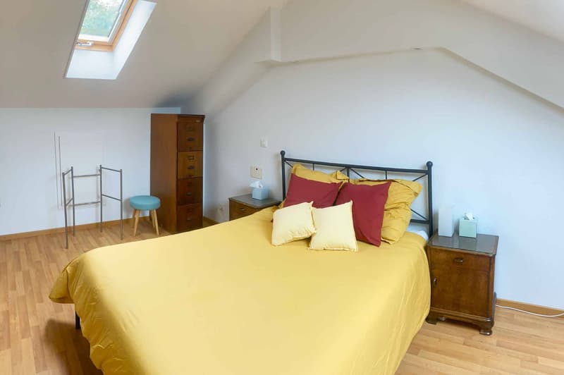 Duplex with panoramic view of the lake and the Alps (11)