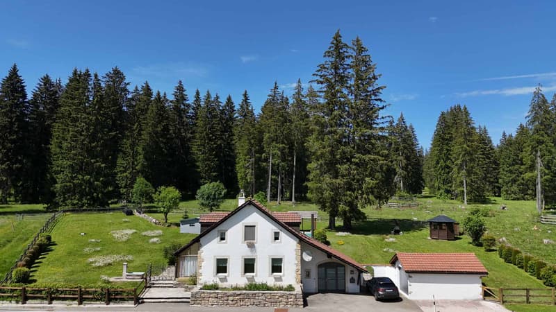 Proprietà di carattere a proximità immediata dell'Étang de la Gruère (1)