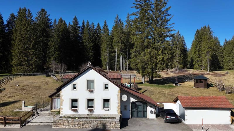 Character property in the immediate vicinity of Étang de la Gruère (1)