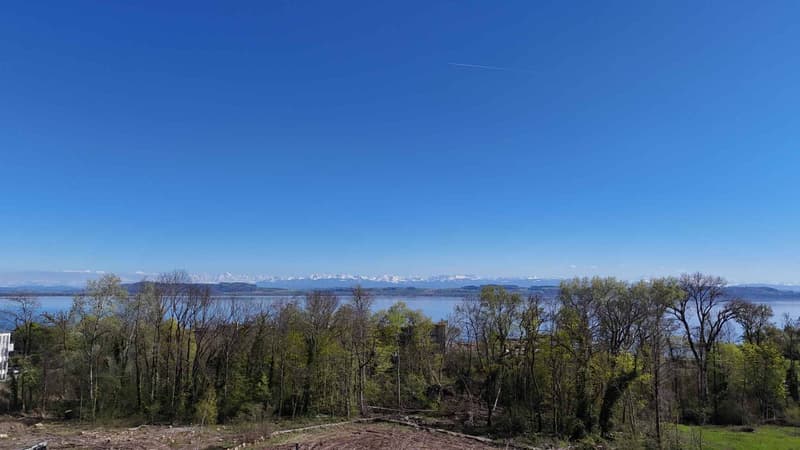 Domaine de Champréveyres: Opportunités multiples avec vue lac (2)