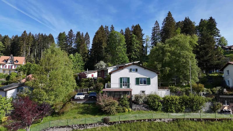 A character house to renovate in the heights of La Chaux-de-Fonds (1)