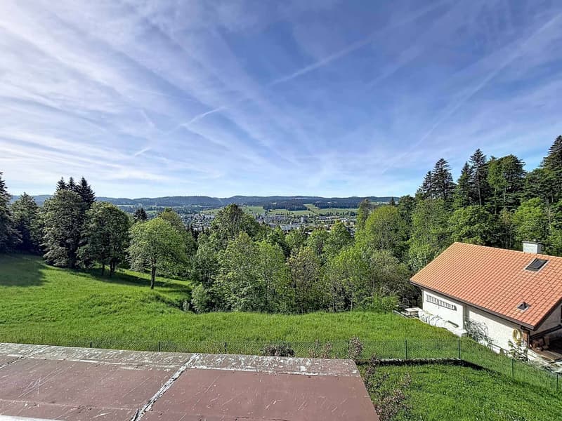 A character house to renovate in the heights of La Chaux-de-Fonds (10)