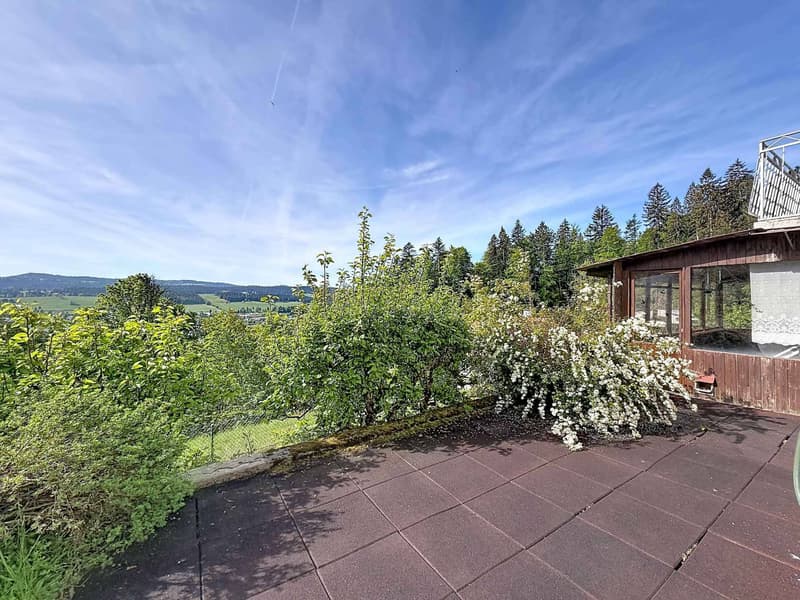 A character house to renovate in the heights of La Chaux-de-Fonds (11)