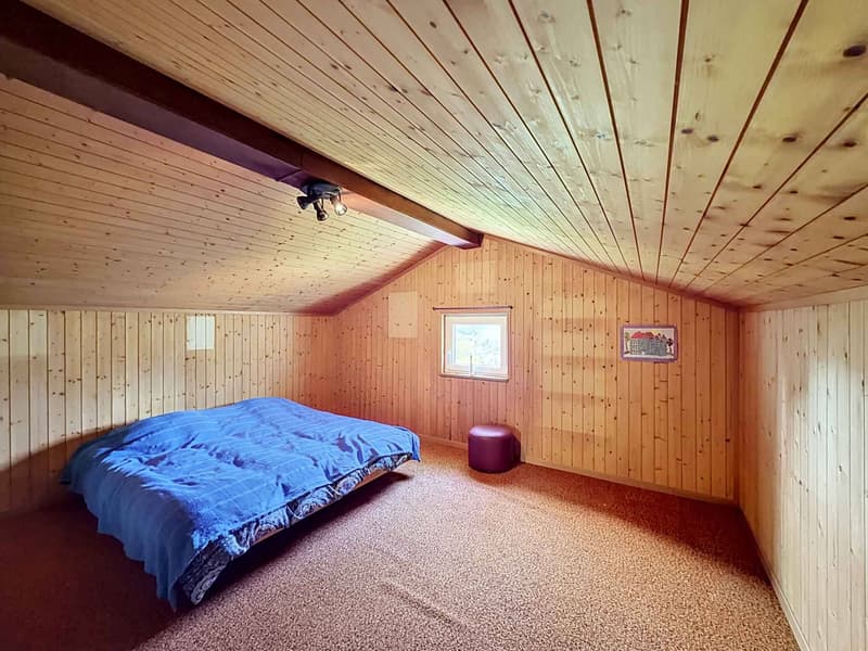 A character house to renovate in the heights of La Chaux-de-Fonds (9)