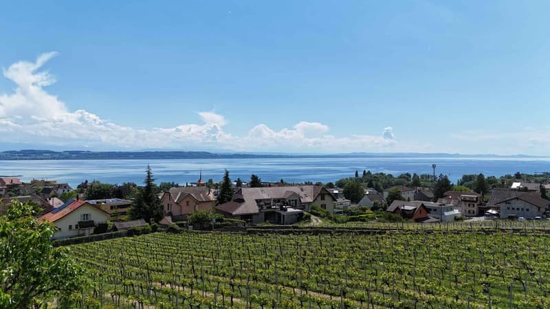 High-standard villa in the heart of the vineyards with breathtaking lake views (6)
