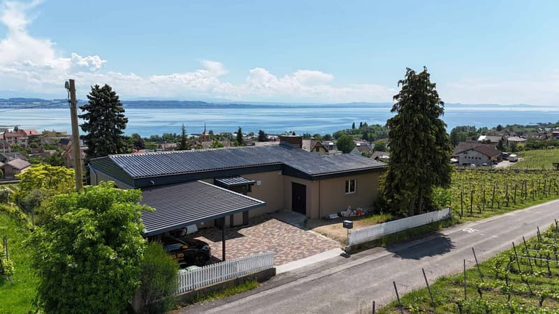 High-standard villa in the heart of the vineyards with breathtaking lake views (12)