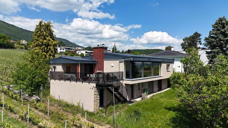 High-standard villa in the heart of the vineyards with breathtaking lake views (1)