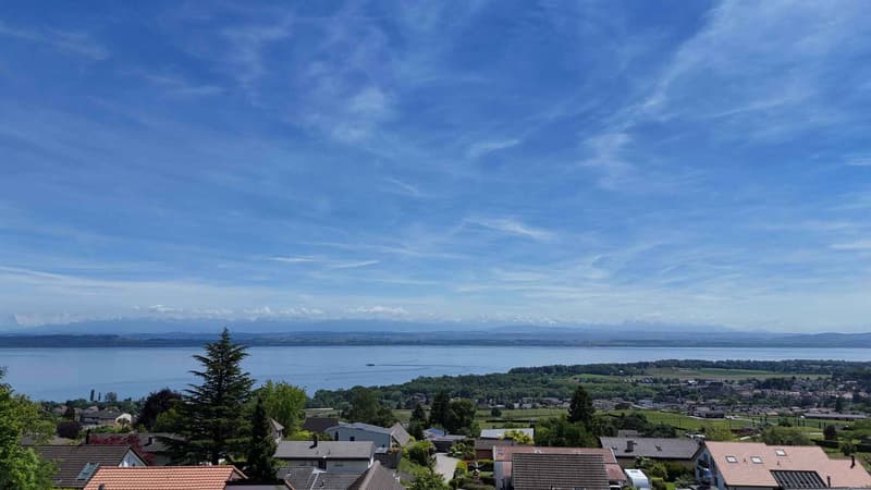 Entre lac et nature, grande propriété à réinventer à Cormondrèche (10)