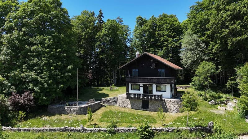 A break from time in the heart of the Parc naturel des Verrières (1)