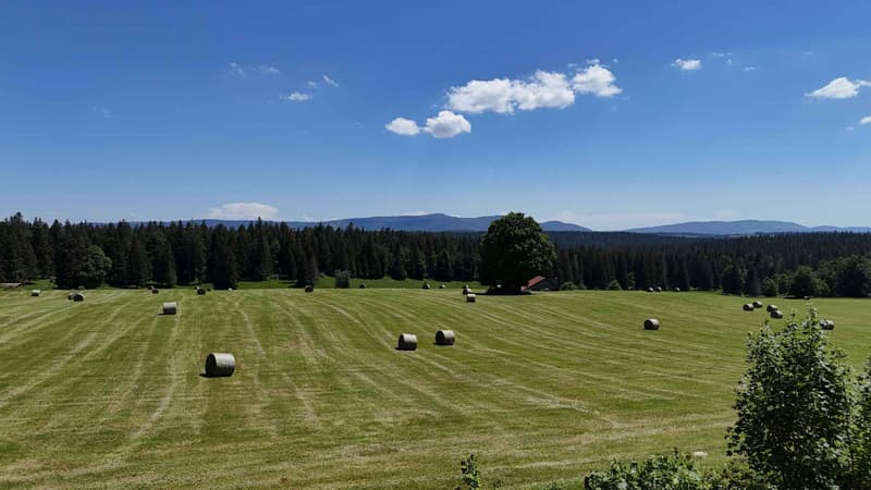 A break from time in the heart of the Parc naturel des Verrières (12)
