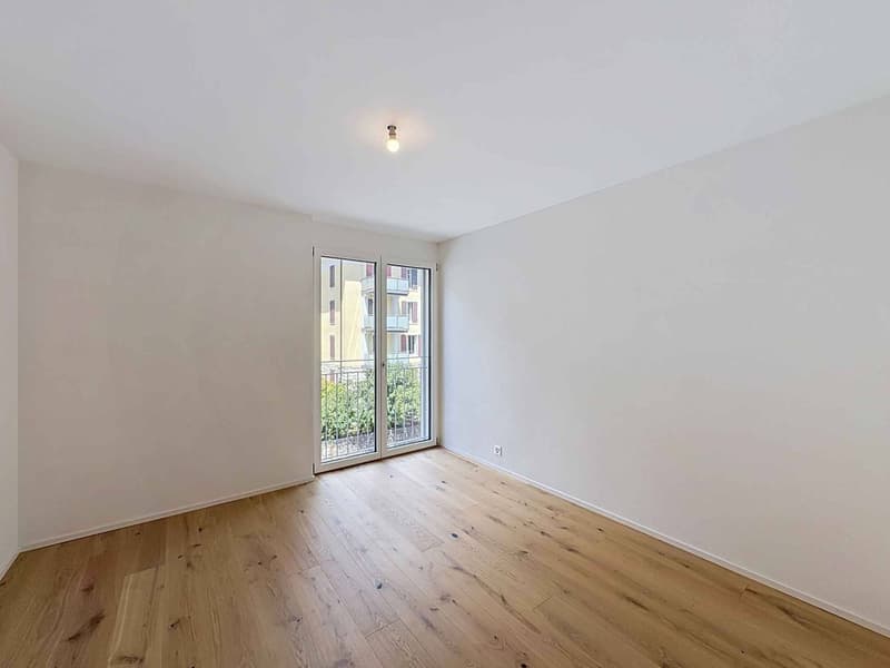Contemporary elegance and art of living in a new apartment (6)