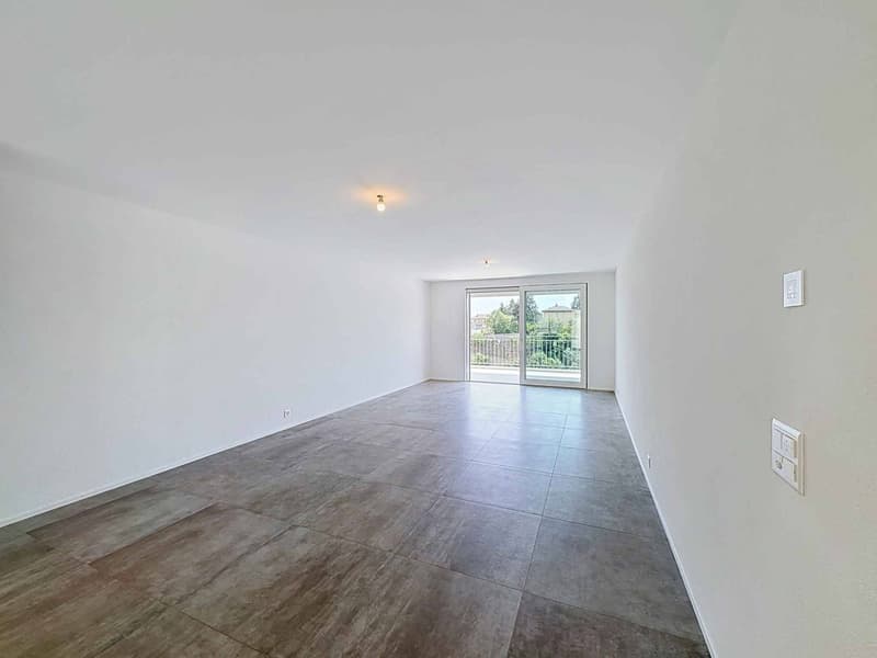Contemporary elegance and art of living in a new apartment (3)