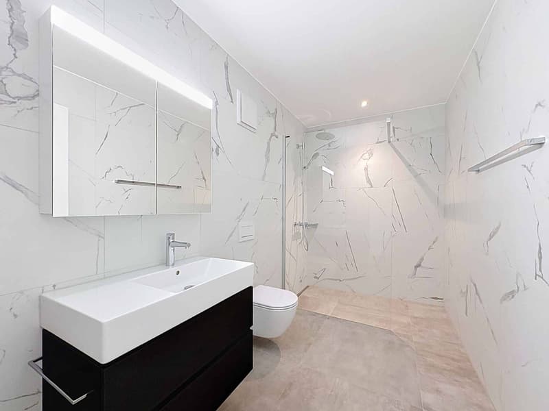Contemporary elegance and art of living in a new apartment (5)