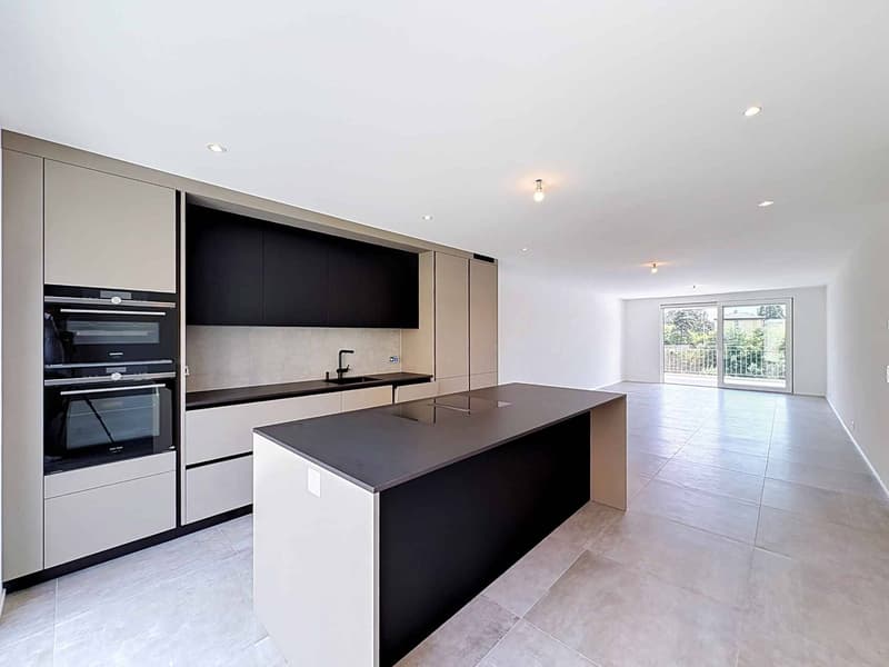 Contemporary elegance and art of living in a new apartment (1)