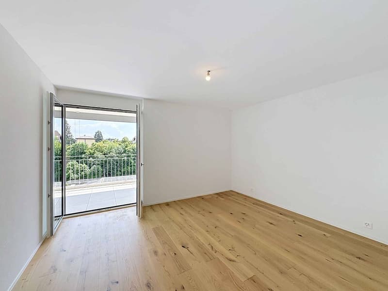 Contemporary elegance and art of living in a new apartment (4)