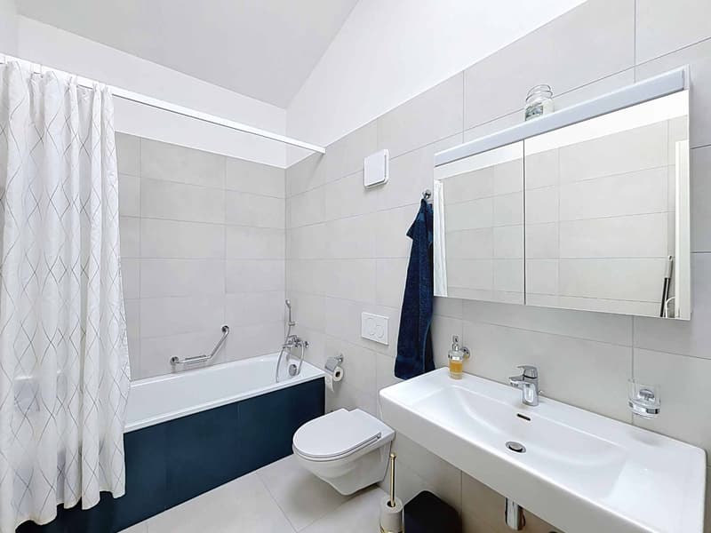 Appartement en attique de 4.5 pièces entre lumière et sérénité (5)