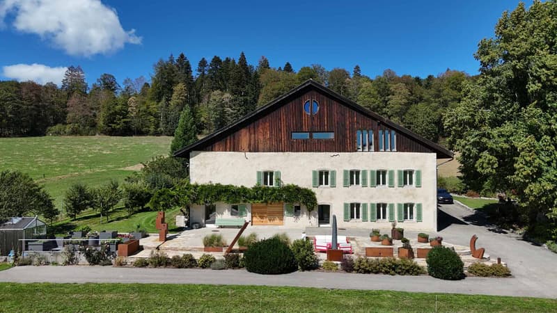 Une ferme d'exception nichée au pied sud de Chasseral (13)