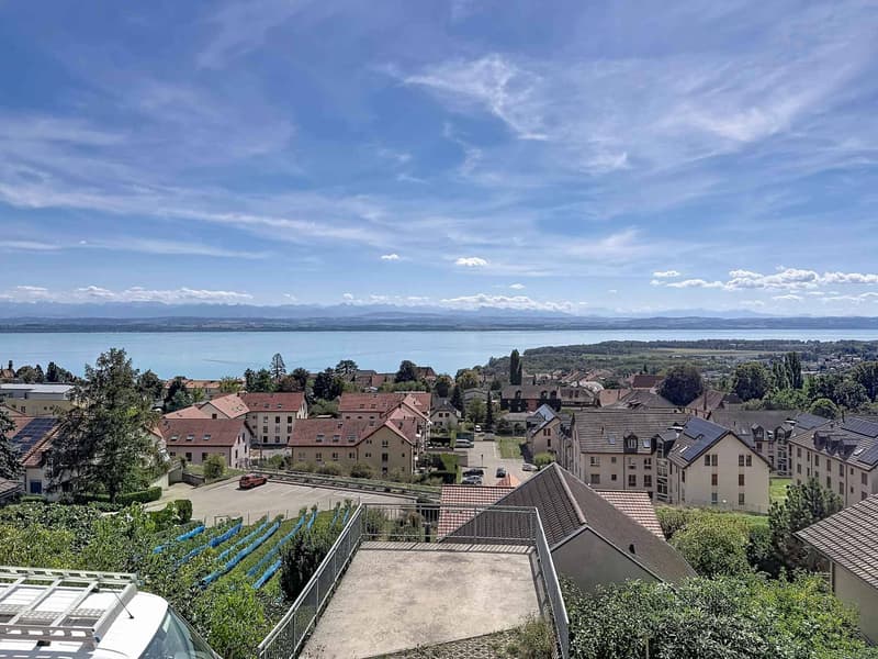 Appartement neuf de 3,5 pièces avec terrasse et vue panoramique (13)