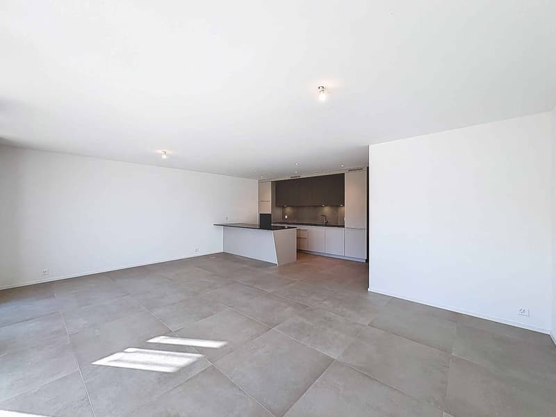 Duplex neuf au cur de Neuchâtel (1)