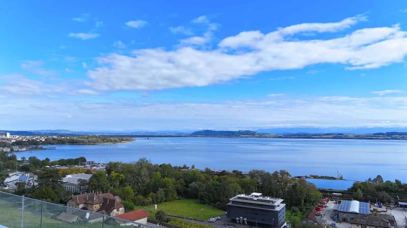 Penthouse de standing de 6,5 pièces dominant le lac et les montagnes (1)